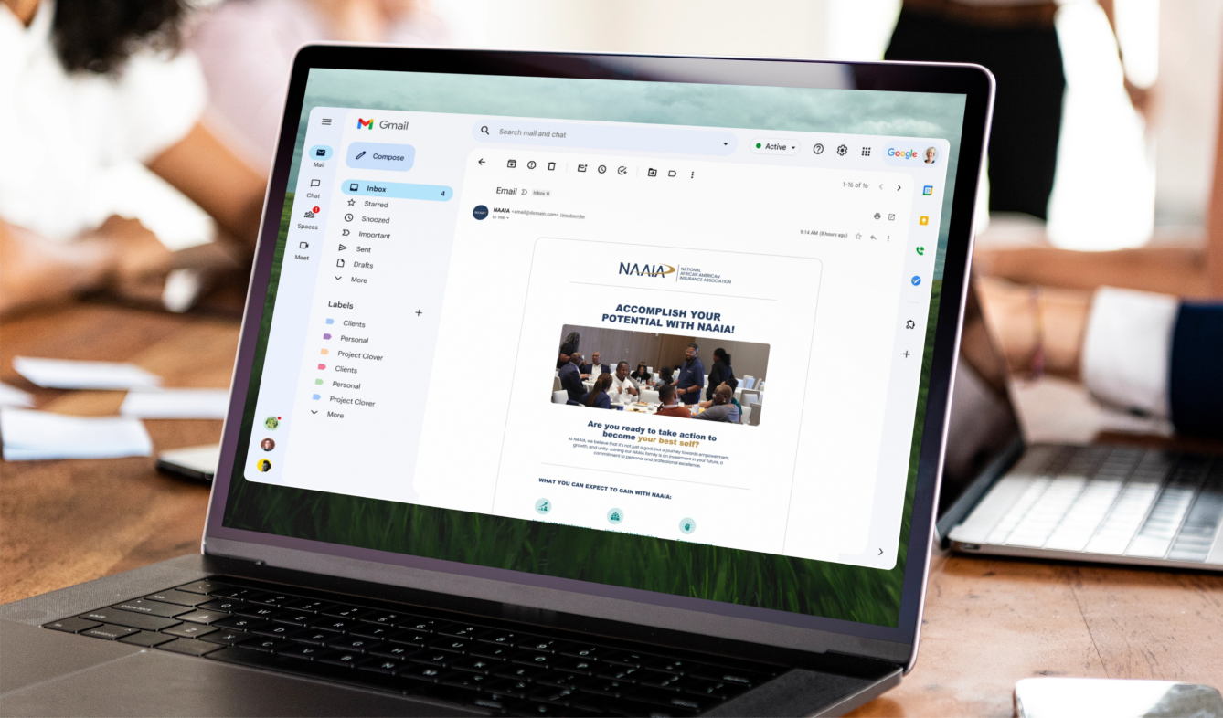 NAAIA membership email newsletter open in an inbox on a laptop.