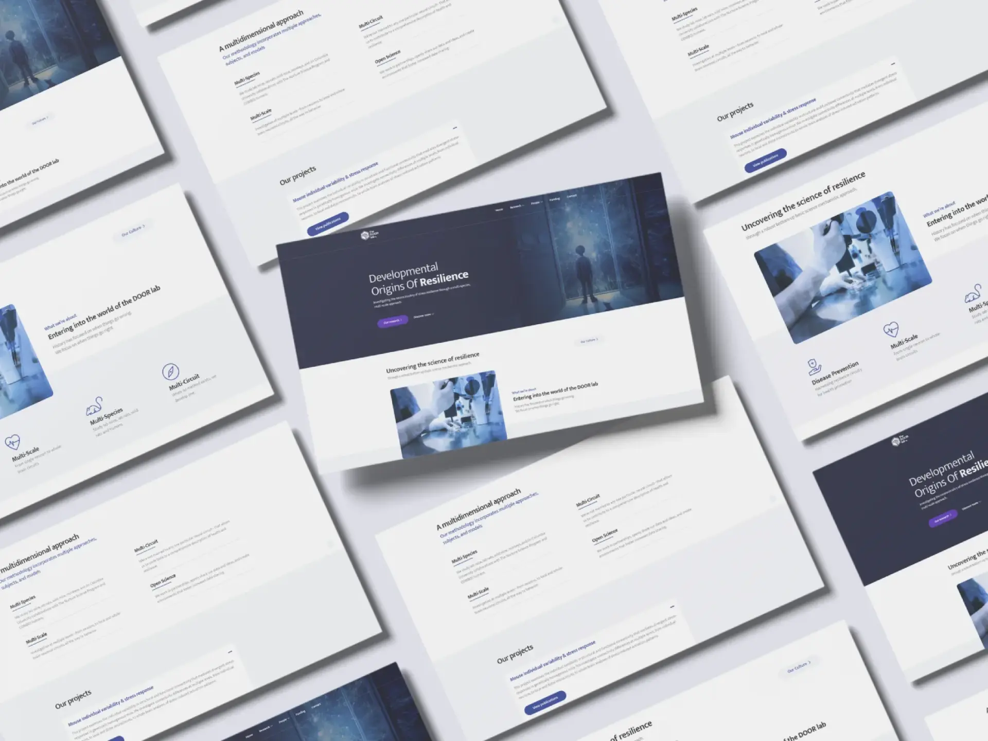 The DOOR Lab brand identity and website before and after redesign.